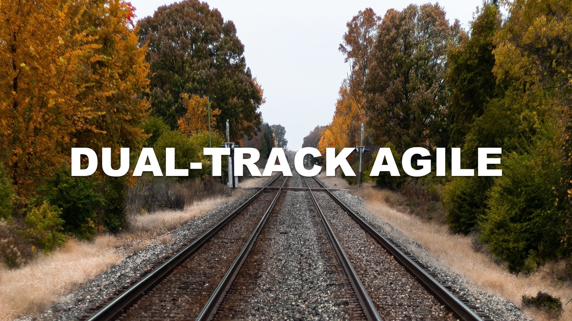 Dual-track