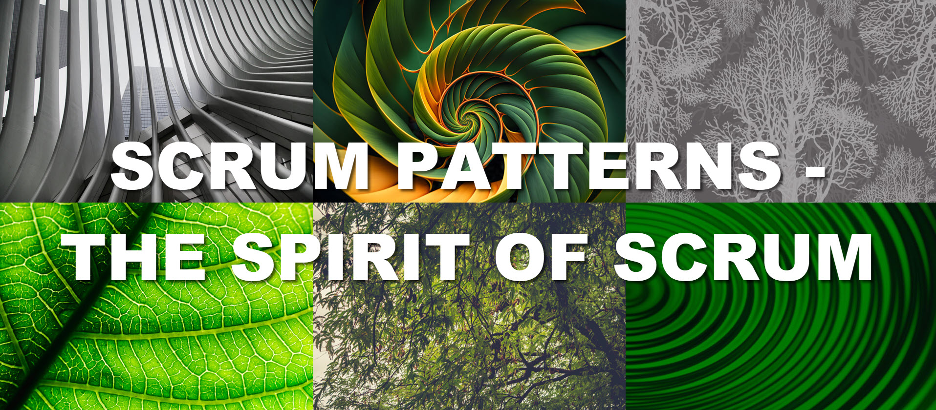 Scrum vzorci - duh Scruma